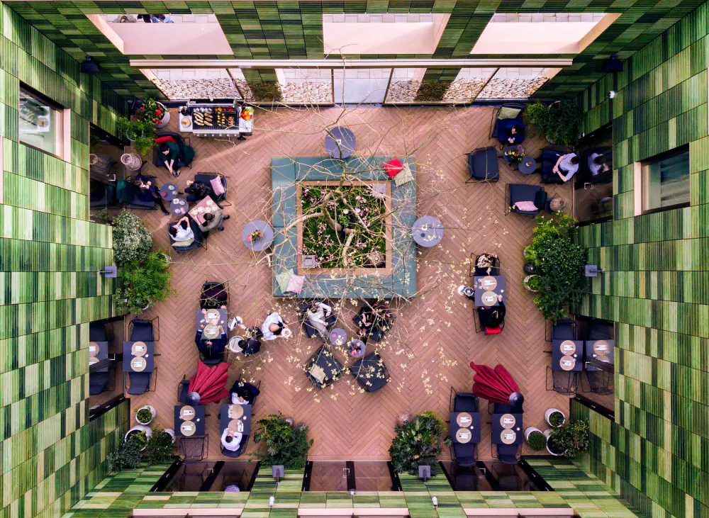 Het verborgen terras van Bar & Terrace van bovenaf, omringd door groene wanden